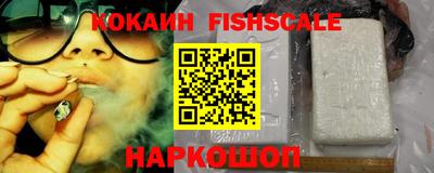 spice Кунгур