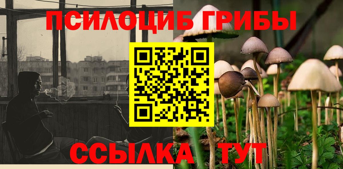 хочу наркоту  Вход с VPN  Дедовск  Псилоцибиновые грибы ЛСД 